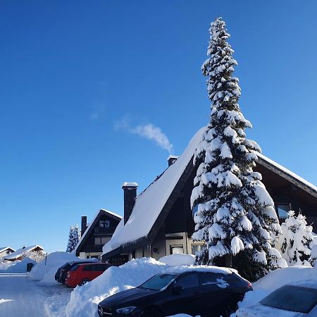 Ferienhaus-Schoenwald Im Herzen Des Schwarzwaldes 1Zimmer Wohnung Mit Terrasse App17 Buitenkant foto