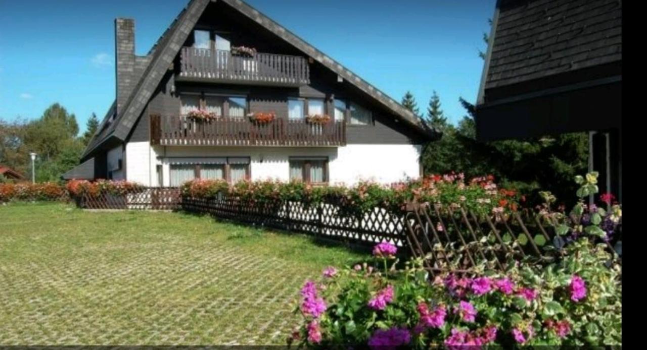 Ferienhaus-Schoenwald Im Herzen Des Schwarzwaldes 1Zimmer Wohnung Mit Terrasse App17 Buitenkant foto