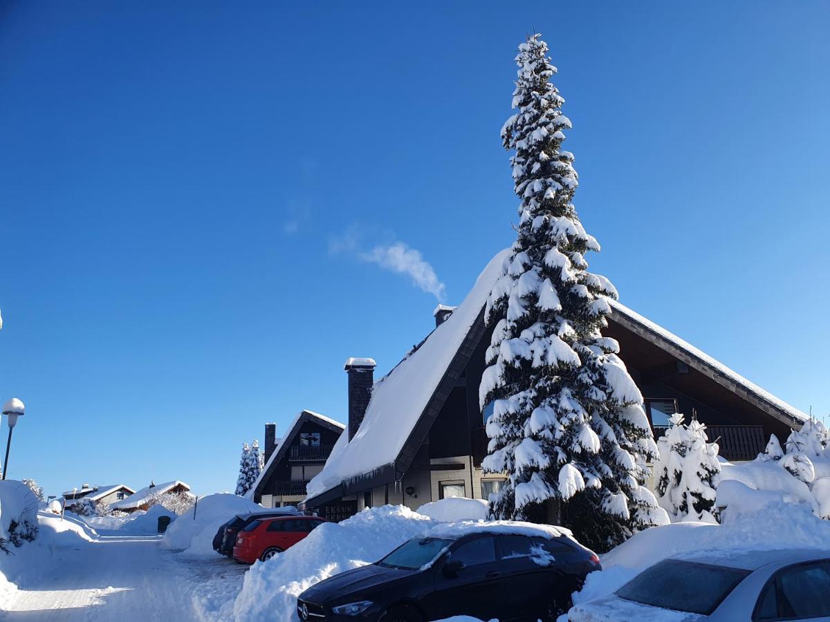 Ferienhaus-Schoenwald Im Herzen Des Schwarzwaldes 1Zimmer Wohnung Mit Terrasse App17 Buitenkant foto