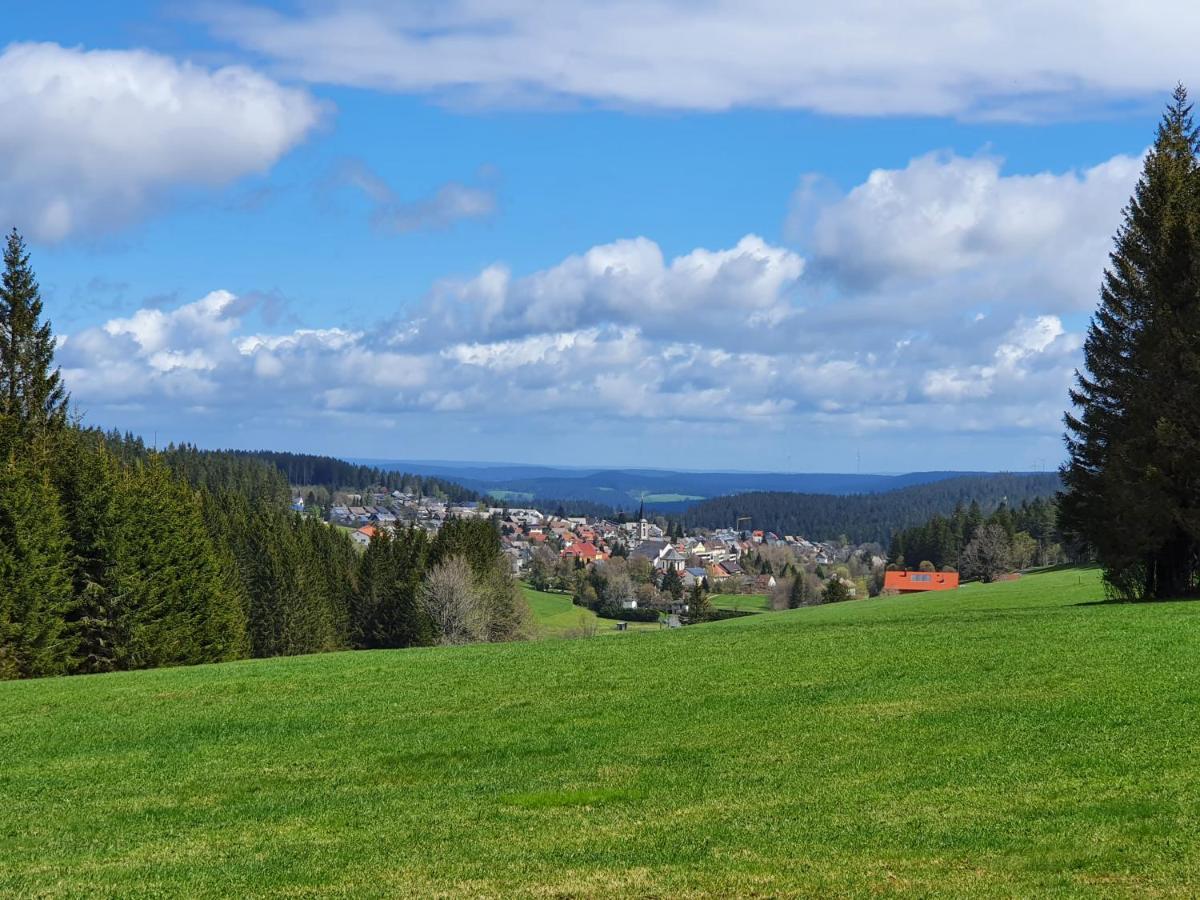 Ferienhaus-Schoenwald Im Herzen Des Schwarzwaldes 1Zimmer Wohnung Mit Terrasse App17 Buitenkant foto